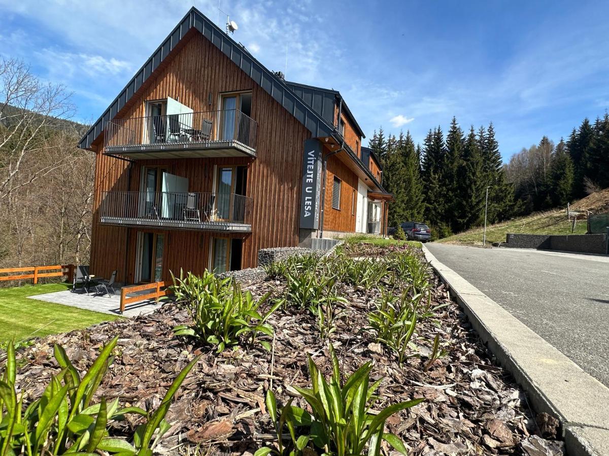 Apartmany U Lesa Dolní Morava Exterior foto